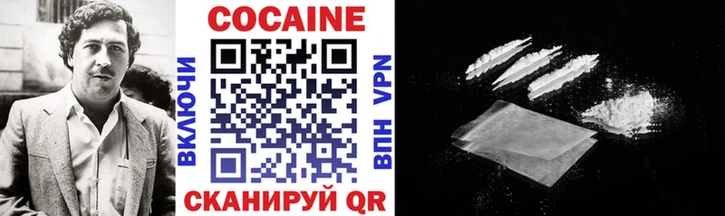 Cocaine Fish Scale  Купить закладки  Ленск 